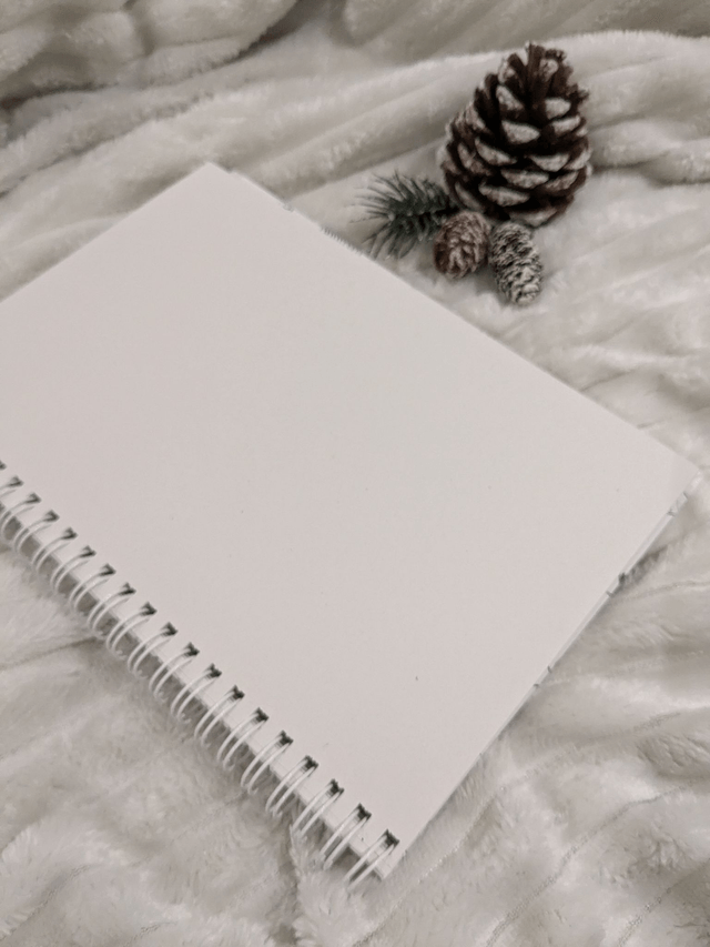 Carnet A5 Sapins