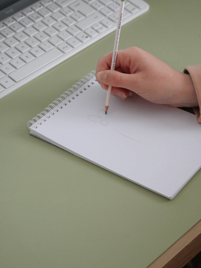 Carnet à dessins Pâquerette