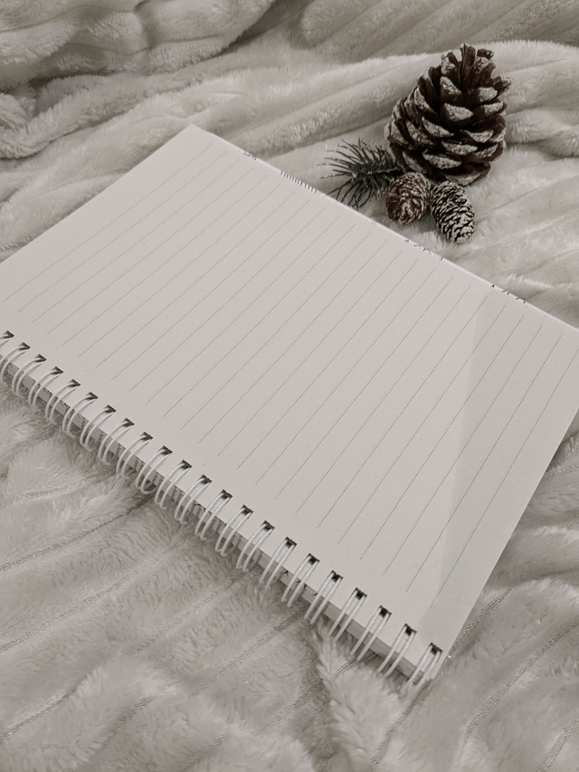 Carnet A6 Sapins