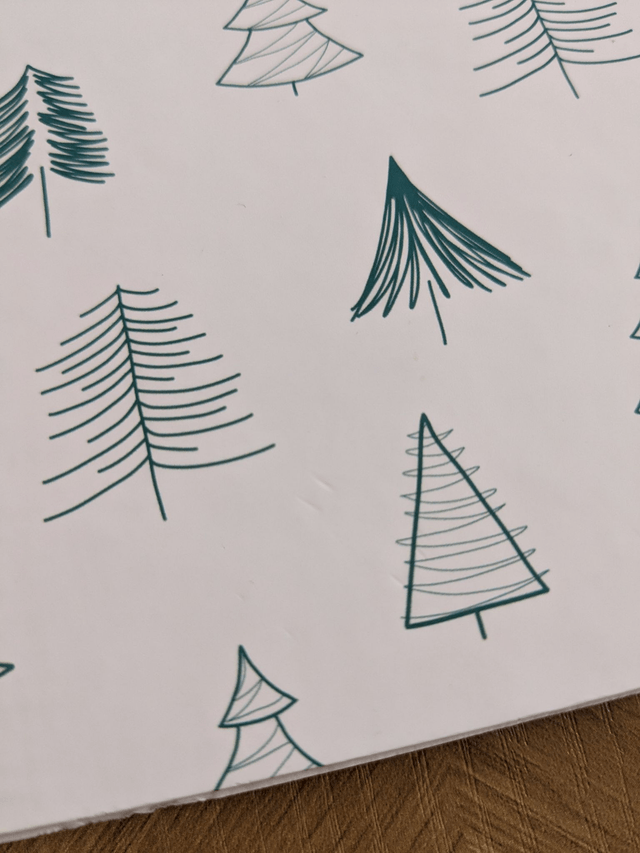 Carnet A6 Sapins - REF611