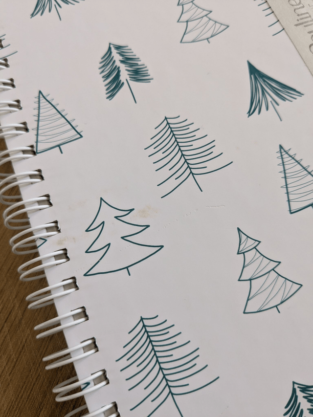 Carnet A5 Sapins - REF601