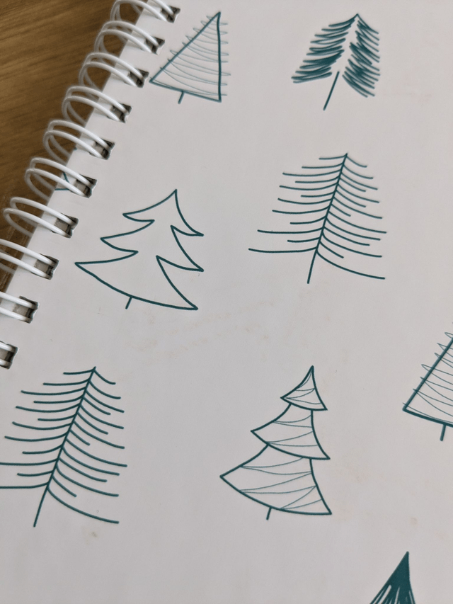 Carnet A5 Sapins - REF602
